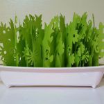 ミクニ ミスティガーデン