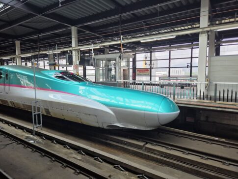 遠距離介護 交通費 新幹線